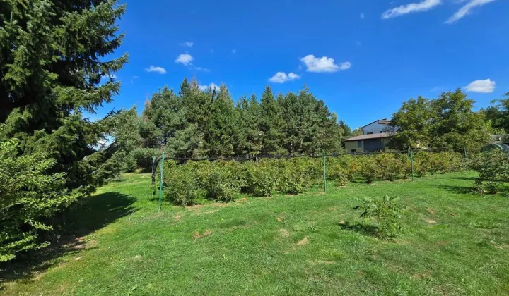 Działka budowlana Łowiczki