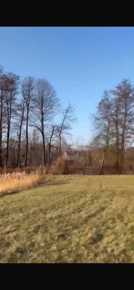 Działka budowlana Żółwin, ul. Rozlewisko. Zdjęcie 4