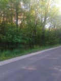 Działka leśna Wola Wadowska. Zdjęcie 2