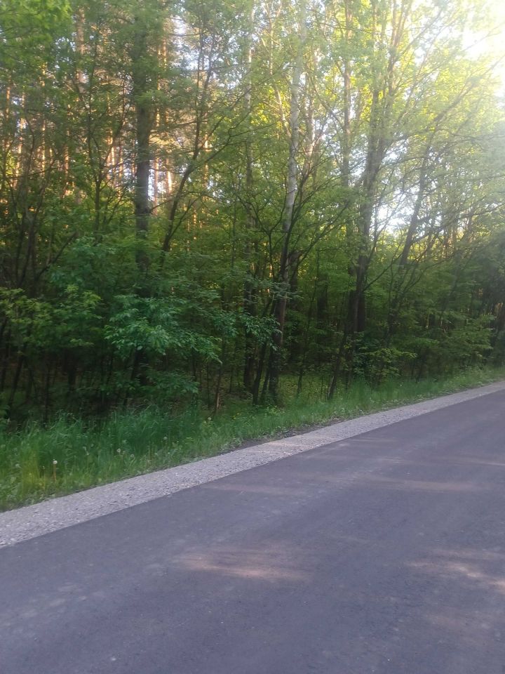 Działka leśna Wola Wadowska. Zdjęcie 3