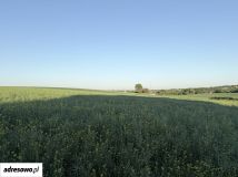 Działka budowlana Gościęcice, ul. Sokola. Zdjęcie 2