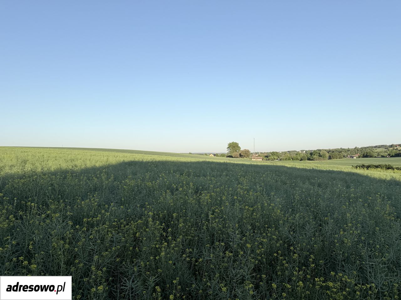 Działka budowlana Gościęcice, ul. Sokola. Zdjęcie 3