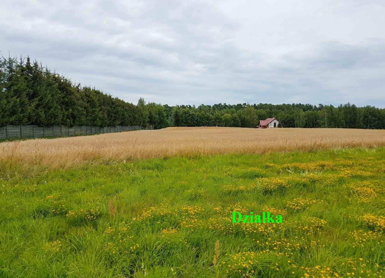 Działka rolno-budowlana Tynwałd Jezierzyce. Zdjęcie 8
