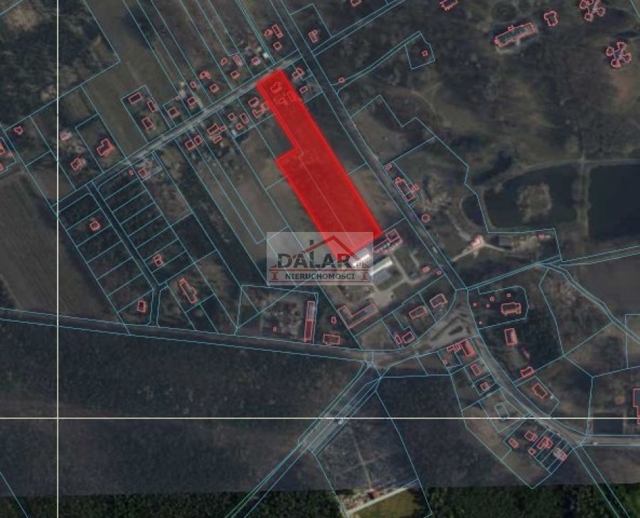 Działka budowlana Osuchów, ul. Leśna. Zdjęcie 12