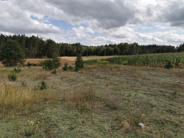 Działka budowlana Dolnik. Zdjęcie 17
