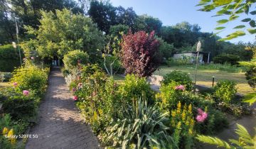 Działka rod Żary, ul. Pszenna