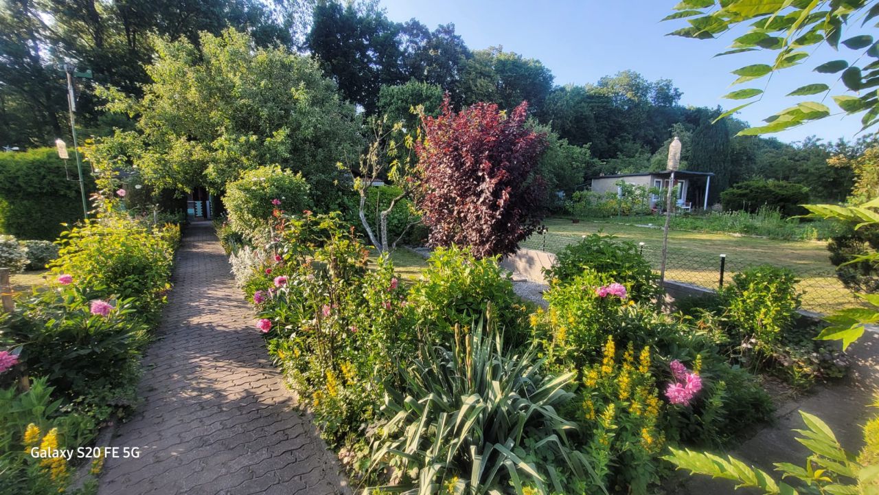 Działka rod Żary, ul. Pszenna. Zdjęcie 5