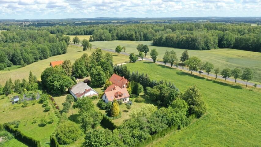 siedlisko, 9 pokoi Kolonia Pozezdrze. Zdjęcie 2