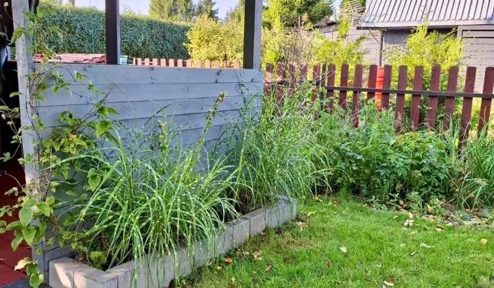 Działka rod Lębork, ul. Gliniana