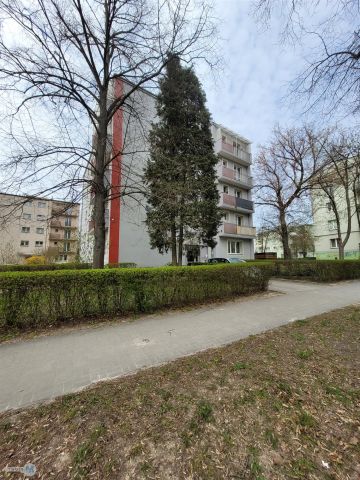 Mieszkanie 2-pokojowe Kielce Sady, ul. Marszałkowska. Zdjęcie 13