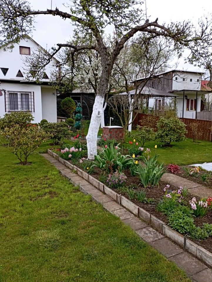 Działka rod Jastrzębie-Zdrój. Zdjęcie 2