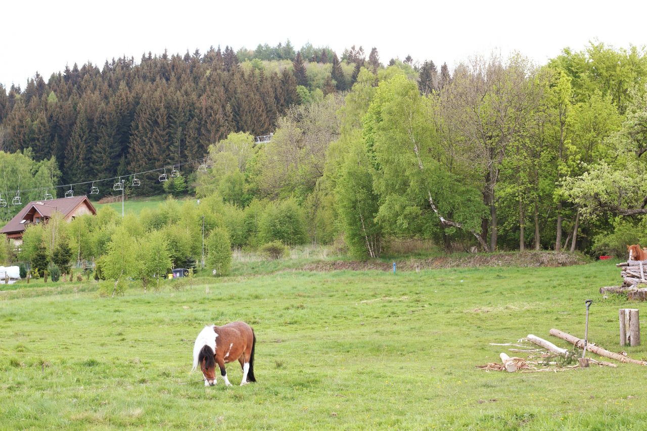 Działka budowlana Bolesławów. Zdjęcie 8