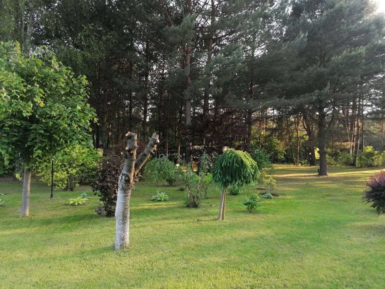 Działka siedliskowa Chwalęcice. Zdjęcie 4