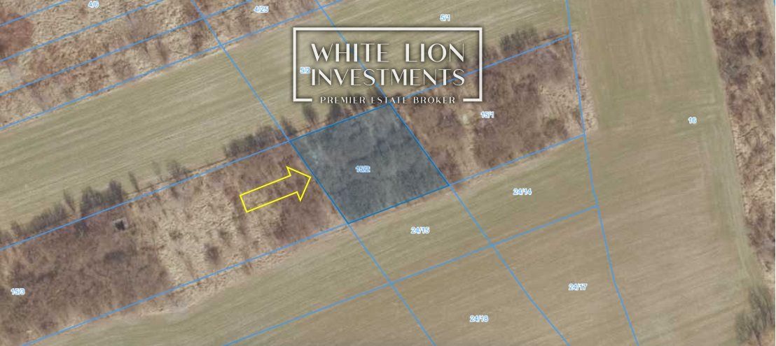 Działka inwestycyjna Kalisz Chmielnik, al. gen. Wł. Sikorskiego. Zdjęcie 14