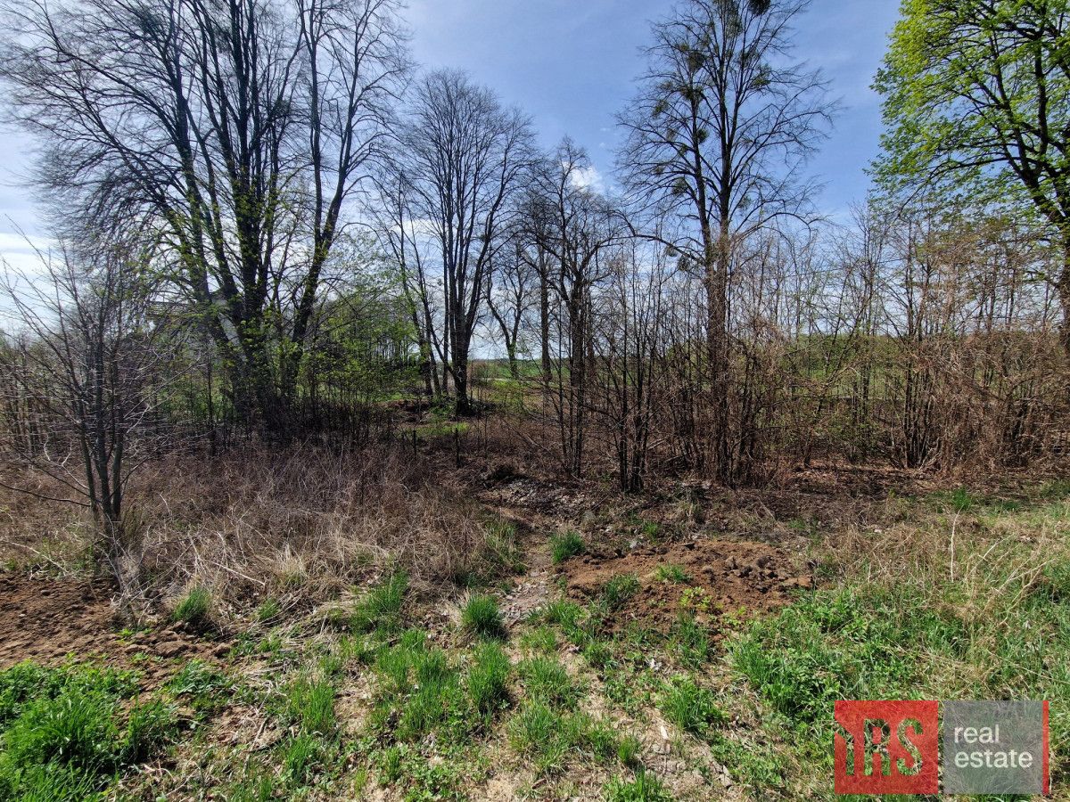 Działka rolna Stary Gieląd. Zdjęcie 6