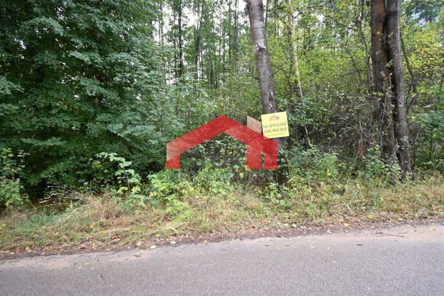 Działka leśna Trypucie. Zdjęcie 3