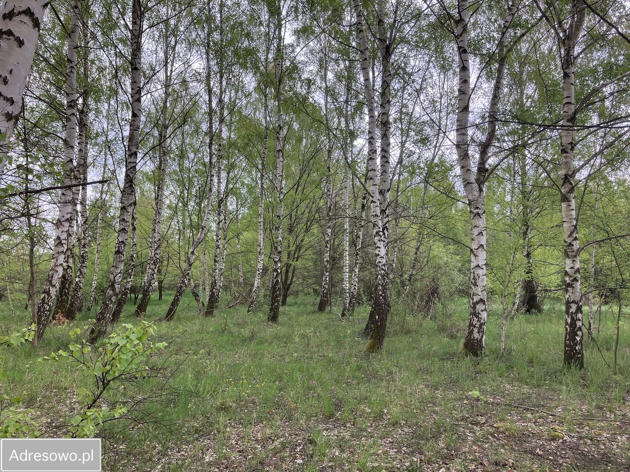 Działka budowlana Jagatowo, ul. Maślakowa. Zdjęcie 7