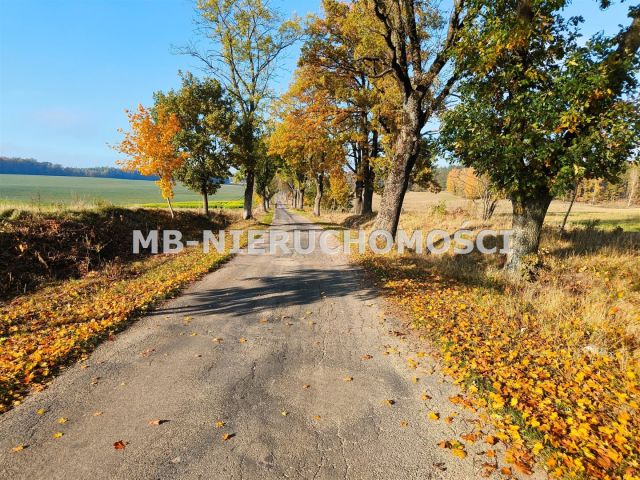 Działka budowlana Gąsiorowo Olsztyneckie. Zdjęcie 5