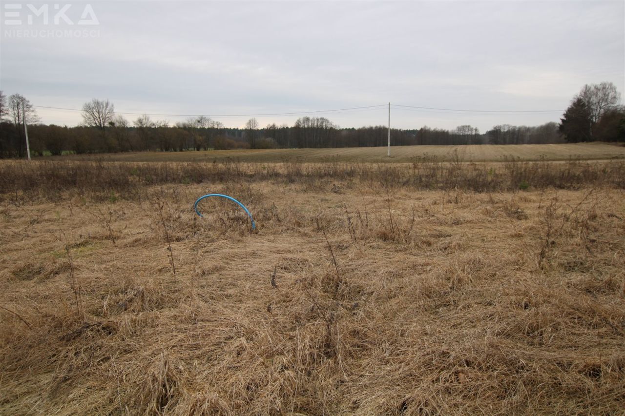Działka Branica. Zdjęcie 4