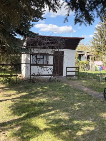 Działka rod Toruń, ul. Palmowa. Zdjęcie 1