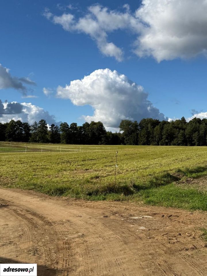 Działka siedliskowa Trąbki Małe. Zdjęcie 5