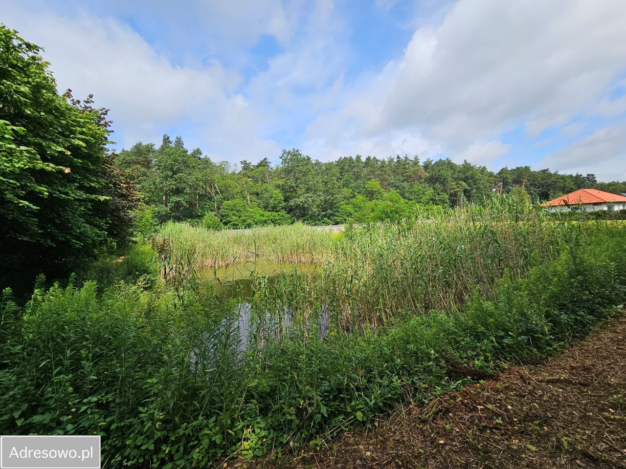 Działka budowlana Płock, ul. Włościany. Zdjęcie 16