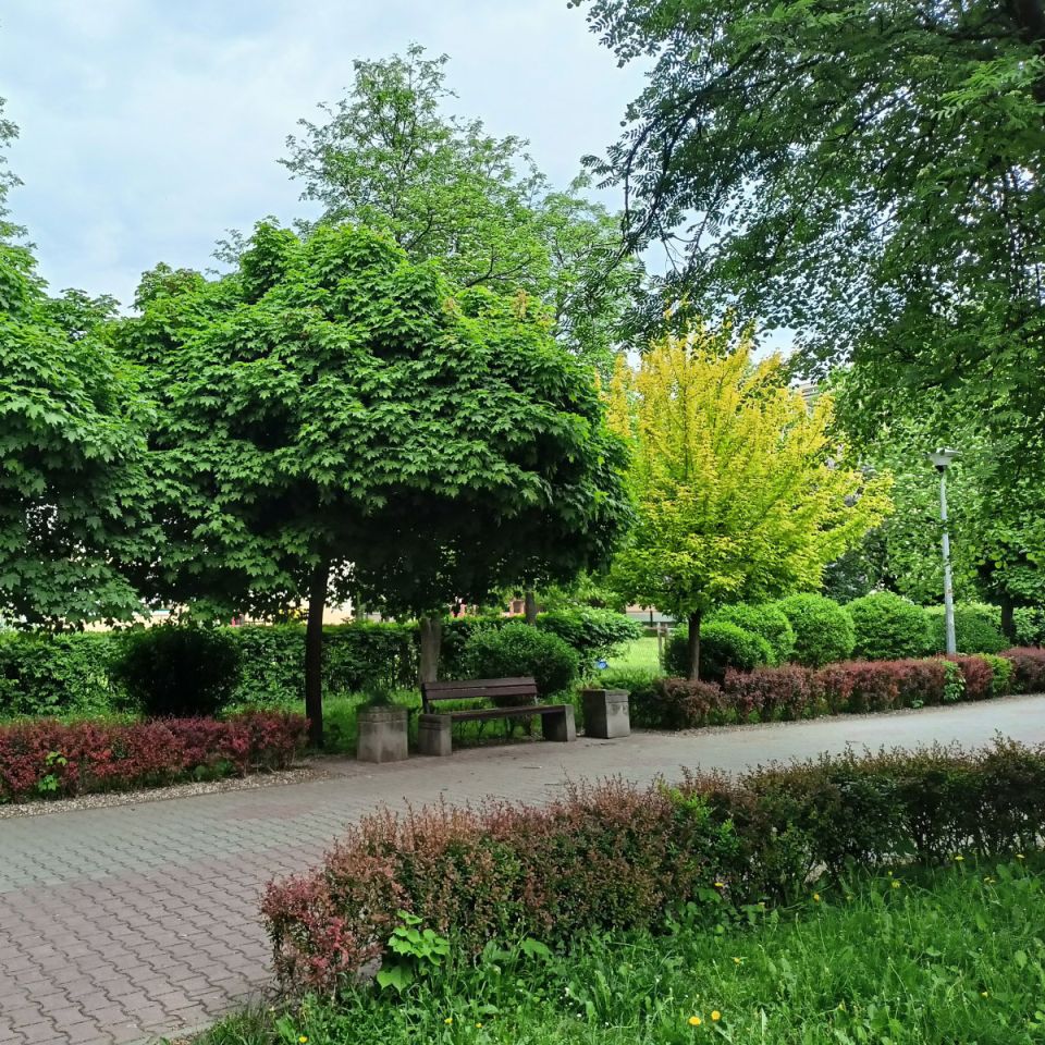 Mieszkanie 3-pokojowe Zamość, ul. Elizy Orzeszkowej. Zdjęcie 10