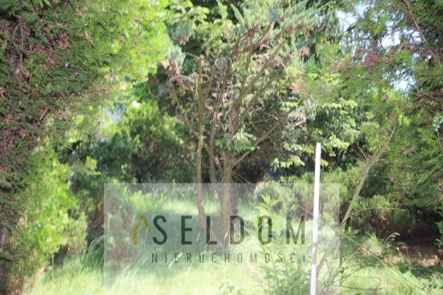 Mieszkanie 2-pokojowe Kazimierz Biskupi, ul. Golińska. Zdjęcie 6