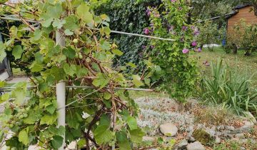 Działka rod Ustroń Hermanice, ul. Wspólna