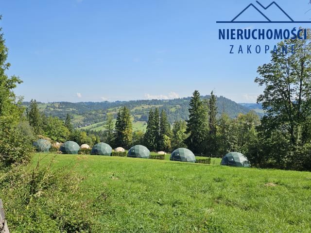 Działka rolna Suche. Zdjęcie 2