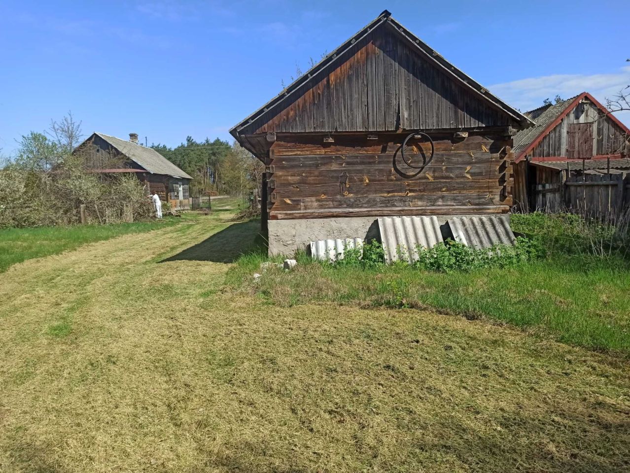 Działka siedliskowa Dobryń Duży. Zdjęcie 3