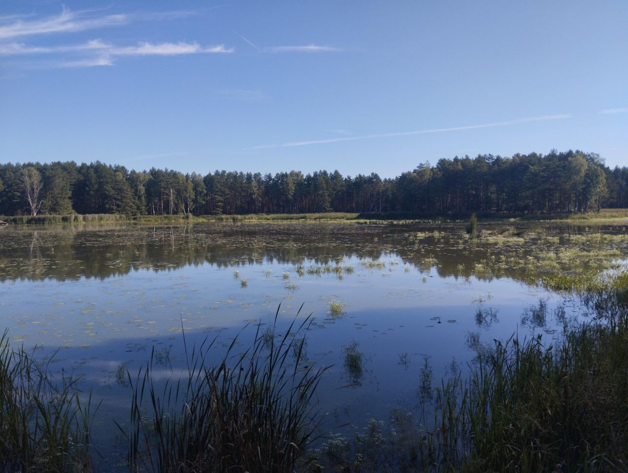 Nieruchomość komercyjna Kalety Zielona, ul. Owocowa. Zdjęcie 11