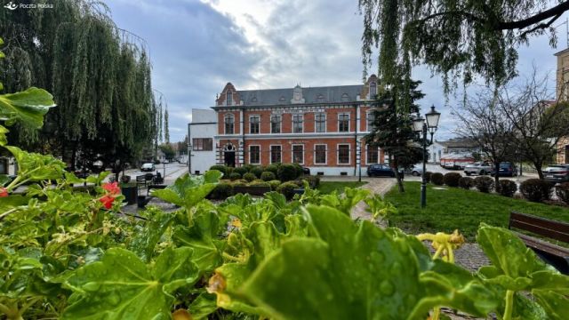 Lokal Świecie, rynek Mały Rynek. Zdjęcie 2