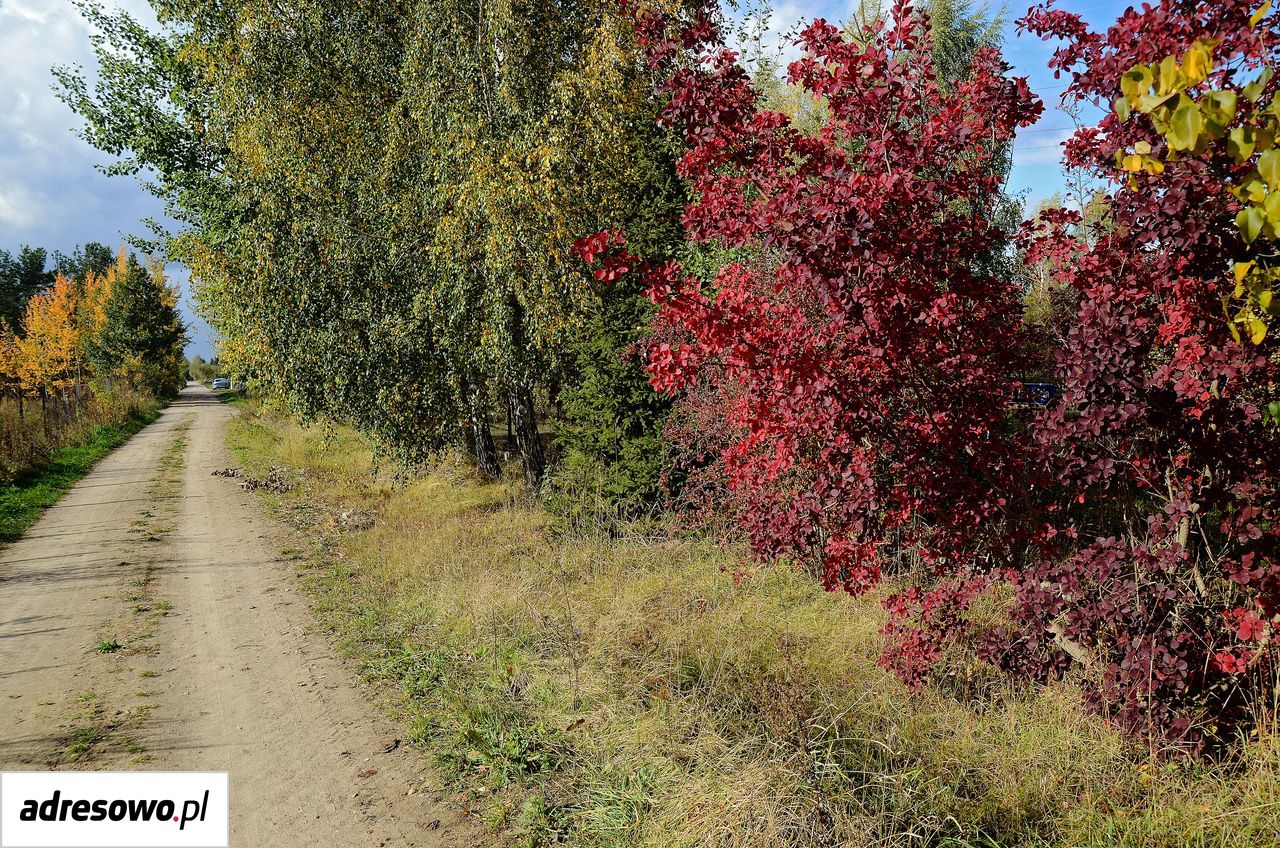 Działka budowlana Izbica, ul. Zachodnia. Zdjęcie 7