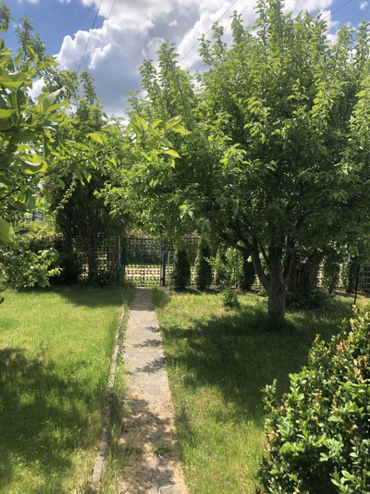 Działka rod Ełk, ul. gen. Władysława Sikorskiego. Zdjęcie 5