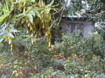 Działka budowlana Warszawa Ursynów, ul. Arbuzowa. Zdjęcie 4