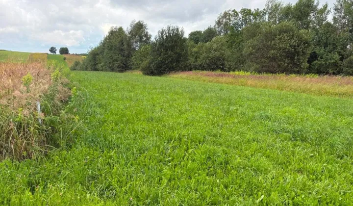 Działka budowlana Czubrowice