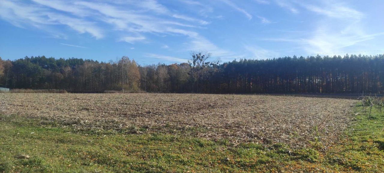 Działka rolna Gzin, ul. Lipowa. Zdjęcie 9