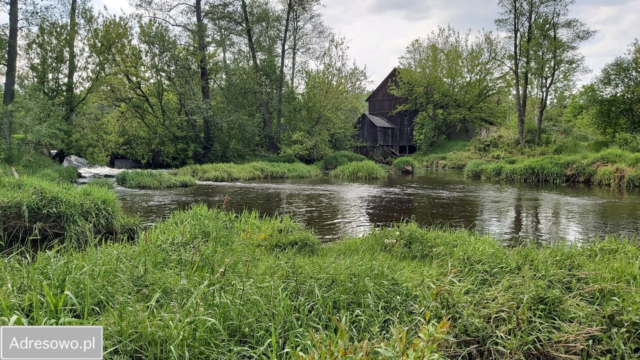 gospodarstwo, 3 pokoje Skarżysko-Kamienna. Zdjęcie 3
