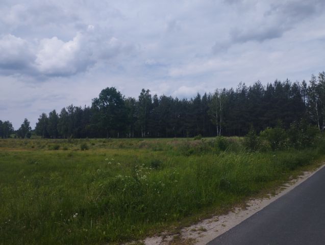 Działka budowlana Zaręby. Zdjęcie 3