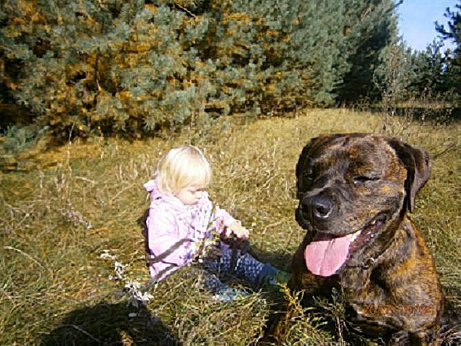 Działka budowlana Słubica Dobra, ul. Graniczna. Zdjęcie 8