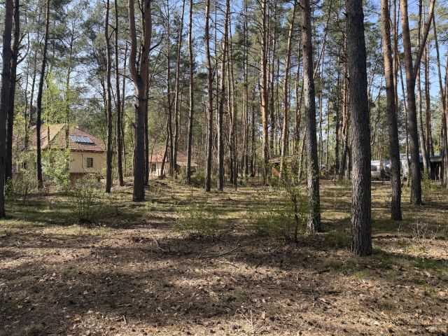 Działka budowlana Nowe Załubice, ul. Wiolinowa. Zdjęcie 1