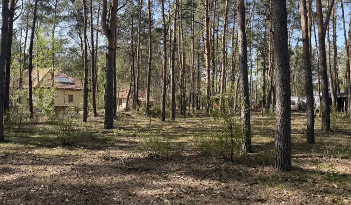 Działka budowlana Nowe Załubice, ul. Wiolinowa