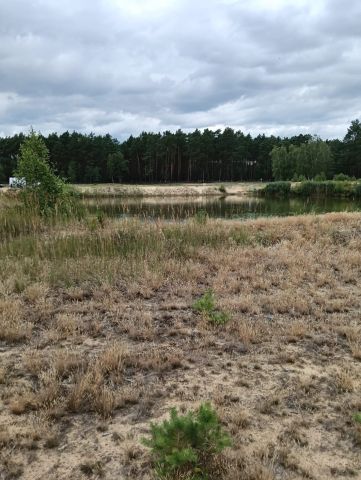 Działka rolna Kuźnica Zbąska. Zdjęcie 1