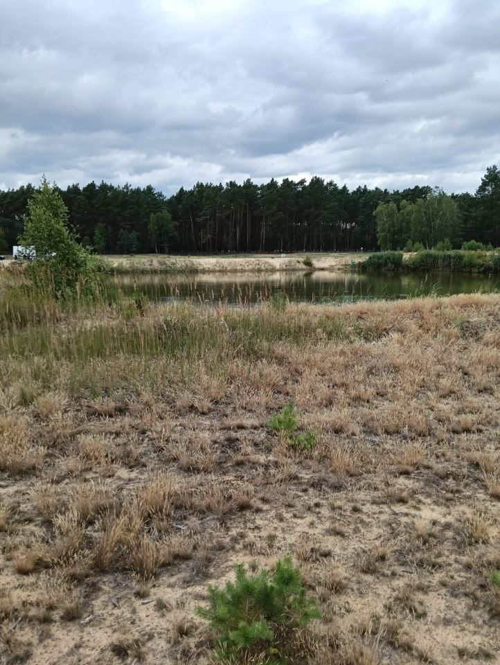 Działka rolna Kuźnica Zbąska