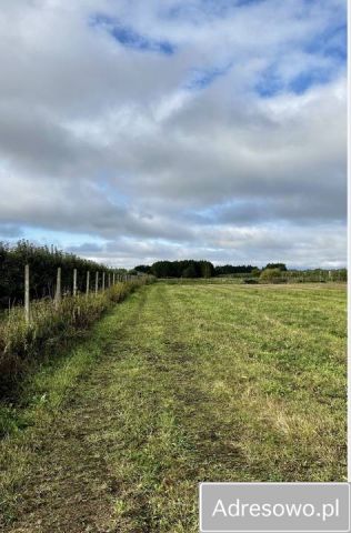 Działka budowlana Całowanie. Zdjęcie 1