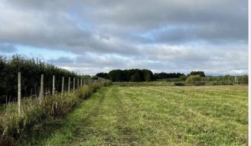 Działka budowlana Całowanie