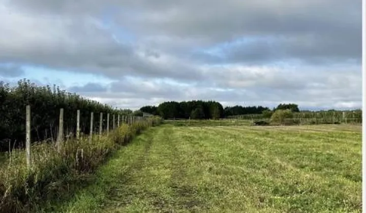 Działka budowlana Całowanie