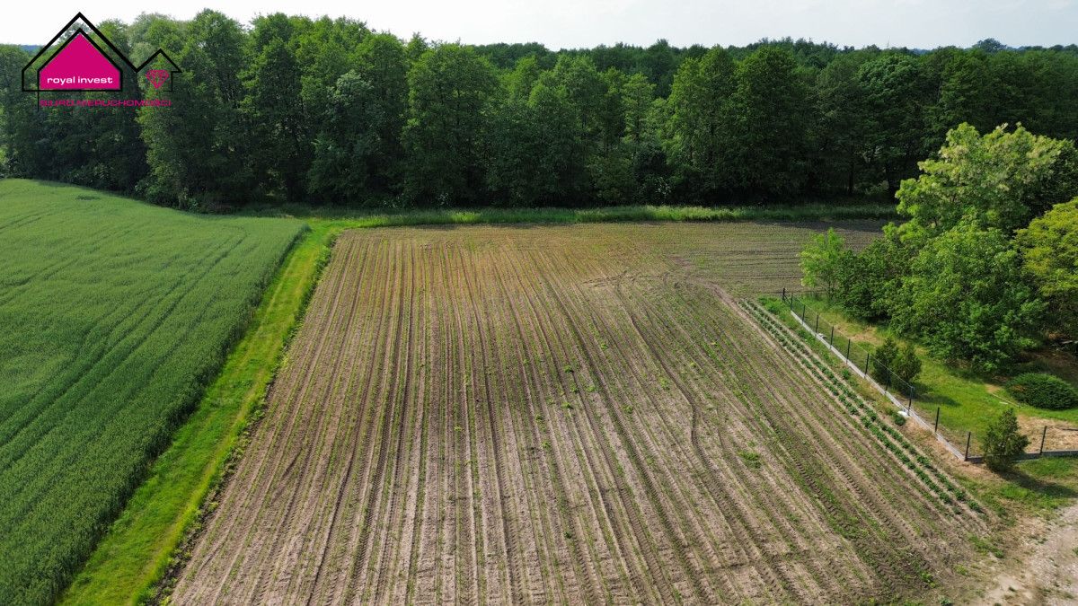 Działka budowlana Dobrosołowo. Zdjęcie 4
