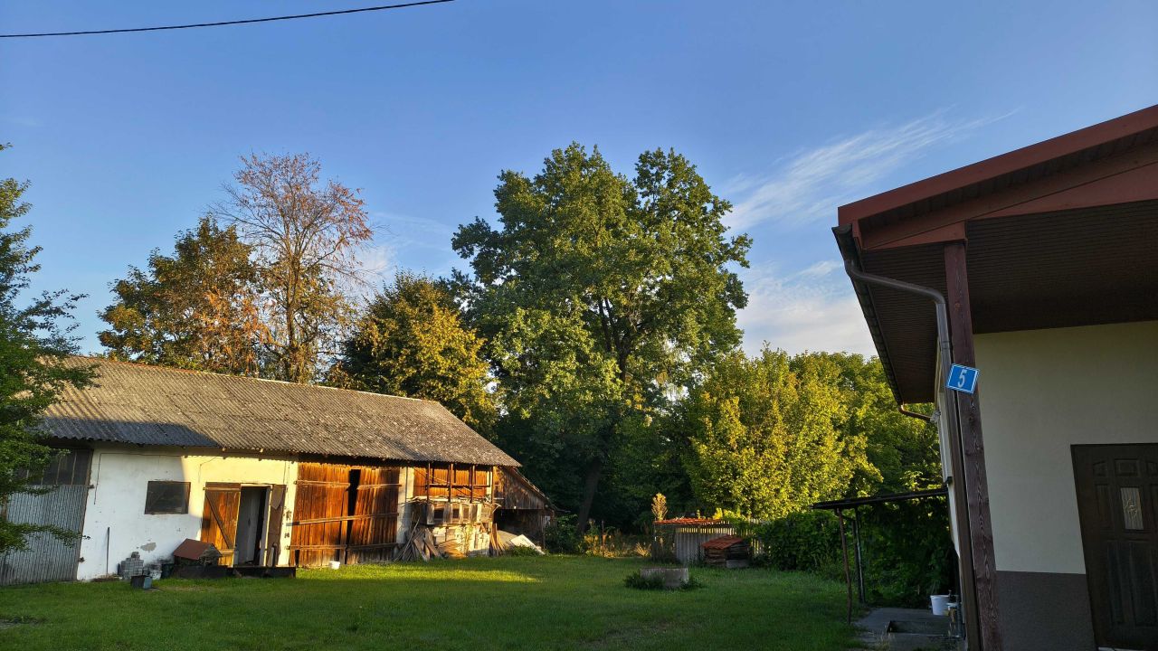 gospodarstwo Kurzelów. Zdjęcie 7